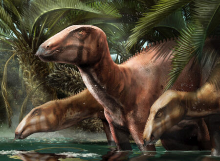 Il primo branco di dinosauri scoperto in Italia: almeno sette esemplari di Tethyshadros insularis.
